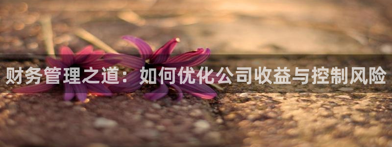 糖心确解：财务管理之道：如何优化公司收益与控制风险